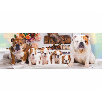 Пазлы 500 эл. "Premium. Собачки" 66,5х23см 500ПЗ2_18371/056075 от магазина "Карандаш"