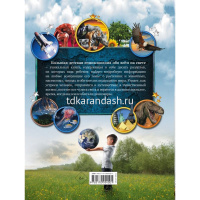 Большая детская энциклопедия обо всем на свете 384стр. (Кошевар Д.В.) 978-5-17-095400-1 от магазина "Карандаш"
