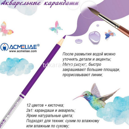Карандаши акварельные 12 цветов "Acmeliae" с кисточкой круглые дерево, картон 9401-12 от магазина "Карандаш"