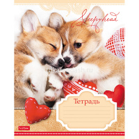 Тетрадь А5 12л клетка "Сони-Засони" на скобе 5 дизайнов 12Т5В1/046653 от магазина "Карандаш"