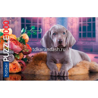 Пазлы 1000 эл. "Premium. Щенок" 68х48см 1000ПЗ2_18729/055133 от магазина "Карандаш"