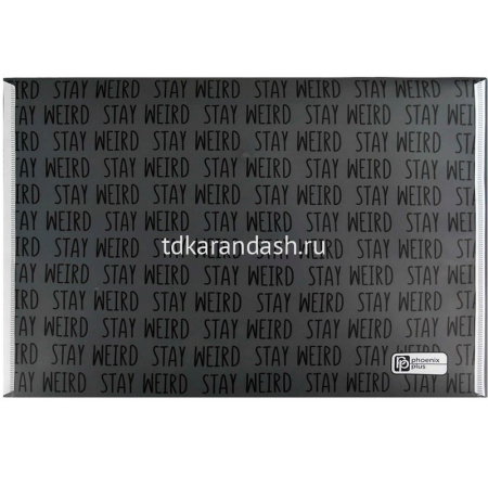 Папка-конверт на кнопке "Чудная капибара" A4 полипропилен, 0,15мм 69303 от магазина "Карандаш"