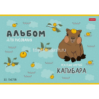 Альбом для рисования А4 20л "Реально крутой Капибара" на скобе 5 дизайнов 084755 от магазина "Карандаш"