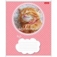 Тетрадь А5 18л линия "Котята" на скобе 5 дизайнов 18Т5В2/012312 от магазина "Карандаш"