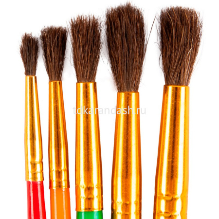 Набор кистей пони 5шт. круглые (№ 2,3,5,6,8) "Играй" LPSB-03 от магазина "Карандаш"