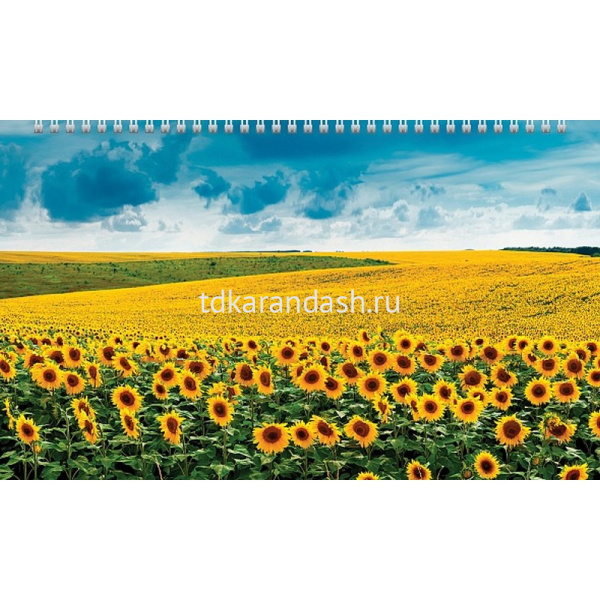Календарь квартальный 2026 "Цветущие долины" 320х840мм настенный трехблочный, с бегунком 5 постеров от магазина "Карандаш"