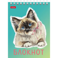 Блокнот А6 40л "Котики бывают разными" клетка, на спирали УФ-лак 6 дизайнов 080474 от магазина "Карандаш"