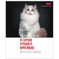 Тетрадь А5 48л клетка "Котоюмор" на скобе 5 дизайнов 079790 от магазина "Карандаш"