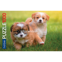 Пазлы 1000 эл. "Premium. Щенки" 68х48см 1000ПЗ2_02398/071465 от магазина "Карандаш"