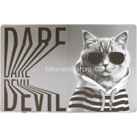 Дневник для 1-11 классов "Кот в худи" твердая обложка, искусственная кожа с поролоном 68672 от магазина "Карандаш"