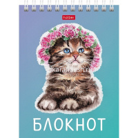 Блокнот А6 40л "Котики бывают разными" клетка, на спирали УФ-лак 6 дизайнов 080474 от магазина "Карандаш"