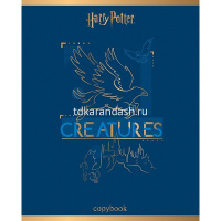 Тетрадь А5 48л клетка "Гарри Поттер" на скобе 3D фольга матовая ламинация 5 дизайнов 068667 от магазина "Карандаш"