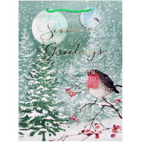 Пакет подарочный "Новый год" 31х42х12см 4 вида SD2257-XL от магазина "Карандаш"