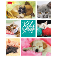 Тетрадь А5 24л клетка "Relax Life" на скобе 24Т5В1/046960 от магазина "Карандаш"