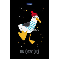 Блокнот А6 40л "Premium.Приключения чайки" клетка глянцевая ламинация, склейка, 3 дизайна 093605 от магазина "Карандаш"