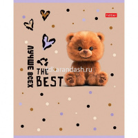 Тетрадь А5 24л клетка "Пушистый мишка" на скобе 5 дизайнов 24Т5В1/089536 от магазина "Карандаш"