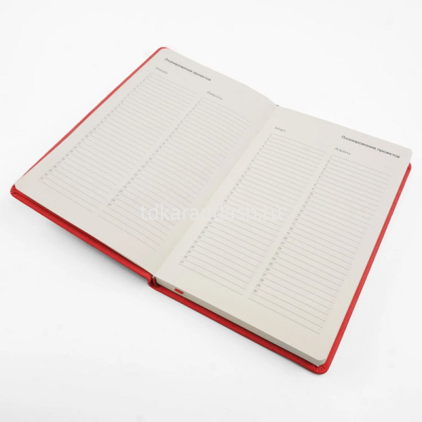 Ежедневник недатированный А5 "Joy Book" 272стр. красный, искусственная кожа, на резинке от магазина "Карандаш"