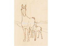 Набор для выжигания 13х18см "Животные №2" доски 5шт 620012 от магазина "Карандаш"