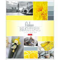 Тетрадь А5 96л клетка "Beautiful colour" на скобе 5 дизайнов 96Т5В1/046858 от магазина "Карандаш"