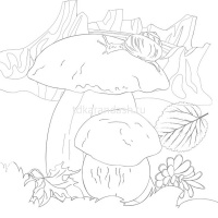 Раскраска д/акварели 21х21см "Юному художнику.Щенок" отрывная склейка жесткая подложка 36стр. 084154 от магазина "Карандаш"