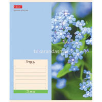 Тетрадь А5 24л линия  "Flowers" на скобе 5 дизайнов 24Т5В2/074946 от магазина "Карандаш"