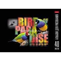 Альбом для рисования А4 40л "Птица Дивная" на скобе, матовая ламинация 3D лак 40А4лолВ/061423 от магазина "Карандаш"