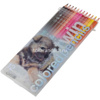 Карандаши 24 цвета "Twin. Щенок" 12шт. двусторонние шестигранные дерево, картон 30-0080/01 от магазина "Карандаш"