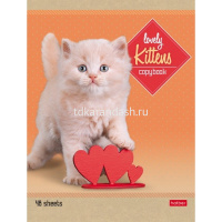 Тетрадь А5 48л линия "Котята" на скобе 5 дизайнов 48Т5В2/047012 от магазина "Карандаш"