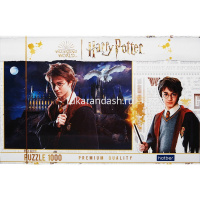 Пазлы 1000 эл. "Premium. Гарри Поттер. Ассорти" 68х48см 1000ПЗ2/084144 от магазина "Карандаш"