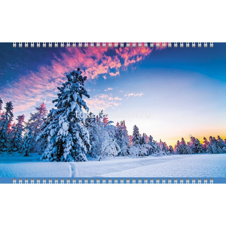 Календарь квартальный 2026 "Времена года" 320х840мм настенный трехблочный, с бегунком 5 постеров от магазина "Карандаш"