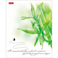 Тетрадь А5 96л клетка "Нежность" на скобе матовая ламинация тиснение 5 дизайнов 068197 от магазина "Карандаш"