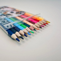 Карандаши 24 цвета "Twin. Щенок" 12шт. двусторонние шестигранные дерево, картон 30-0080/01 от магазина "Карандаш"