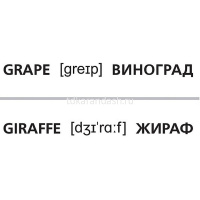 Игра "Наглядные пособия для детей. Английский алфавит и числа" 64 карточки 8х12см картон 088788 от магазина "Карандаш"