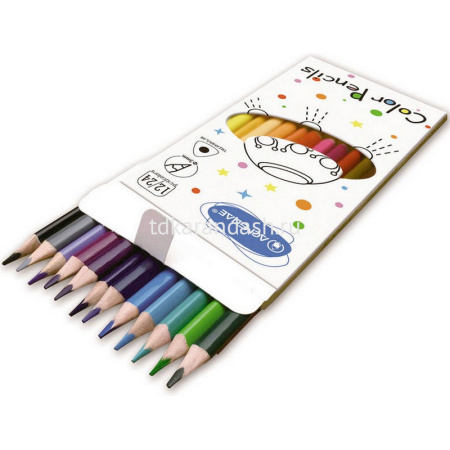 Карандаши 24 цвета "Acmeliae" 12шт. двусторонние трехгранные дерево, картон C12-24 от магазина "Карандаш"