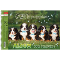 Альбом для рисования А4 24л "Меня зовут Гав" на спирали, перфорация на отрыв, 5 дизайнов 062425 от магазина "Карандаш"