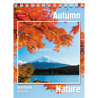 Блокнот А6 40л "Пейзажи" клетка на гребне 40Б6B1гр/004668 от магазина "Карандаш"