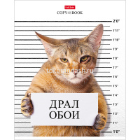 Тетрадь А5 48л клетка "Кот-обормот" на скобе 5 дизайнов 48Т5В1/053331 от магазина "Карандаш"