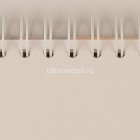 Скетчбук 15х15см 40л 200г/м2 "Парусники на Неве" акварельная бумага, на спирали, картонная обложка от магазина "Карандаш"