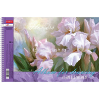 Альбом для рисования А4 48л "Ассорти" на спирали перфорация на отрыв 5 дизайнов 051886 от магазина "Карандаш"