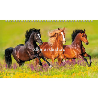 Календарь квартальный 2026 "Год Лошади" 320х840мм настенный трехблочный, с бегунком 5 постеров 09164 от магазина "Карандаш"