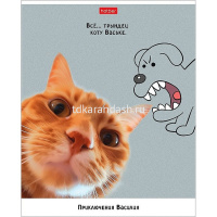 Тетрадь А5 48л клетка "Приключения Василия" на скобе 5 дизайнов 48Т5В1/089644 от магазина "Карандаш"