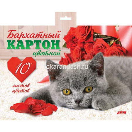 Набор картона цветного А5 10цв 10л "Котенок" 16,5х22см бархатный односторонний 040981