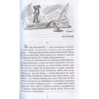 Книга "Школьная библиотека. Путешествие Нильса с дикими гусями" Лагерлёф С. 157стр. 978-5-9781-1150- от магазина "Карандаш"