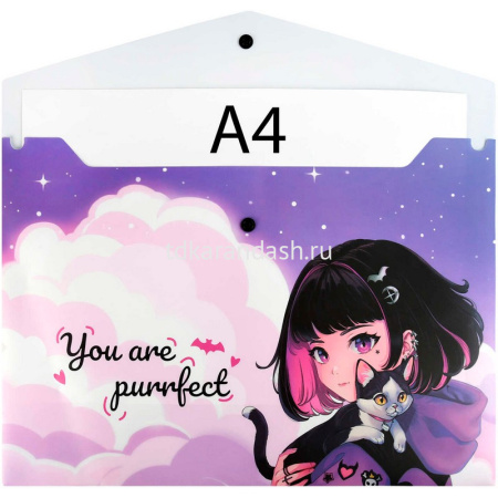 Папка-конверт на кнопке "Брюнетка на закате" A4 полипропилен, 0,15мм 69301 от магазина "Карандаш"