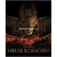 Тетрадь А5 48л клетка "Дом дракона" на скобе 5 дизайнов 48Т5В1/079424 от магазина "Карандаш"