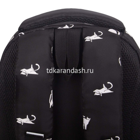 Рюкзак 30х39х20см, 770гр, 3 отделения, 4 кармана, котики на черном, с картхолдером RG-662-1/4 от магазина "Карандаш"