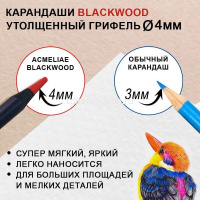 Карандаши 24 цвета "Blackwood Artmate" 12шт. двусторонние трехгранные дерево, картон 43186 от магазина "Карандаш"