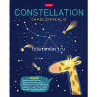 Тетрадь А5 48л клетка "Приходи считать звезды" на скобе 3D фольга матов. ламинация 5 дизайнов 067491 от магазина "Карандаш"