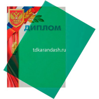 Обложка для переплета 10 листов А4 200мкм пластик зеленый от магазина "Карандаш"