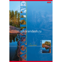 Тетрадь А4 80л клетка "Аквалайф" на скобе выборочный лак 3 дизайна 80Т4вмB3/013234 от магазина "Карандаш"